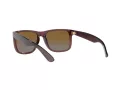 Ray-Ban Justin RB 4165 6597/T5 55 Men sunglasses