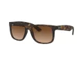 Ray-Ban Justin RB 4165 710/13 51 Men sunglasses