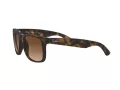 Ray-Ban Justin RB 4165 710/13 51 Men sunglasses