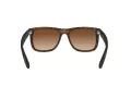 Ray-Ban Justin RB 4165 710/13 51 Men sunglasses