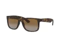 Ray-Ban Justin RB 4165 865/T5 55 Men sunglasses