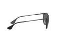 Ray-Ban Erika RB 4171 622/T3 54 Women sunglasses