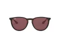 Ray-Ban Erika RB 4171 6391/75 54 Women sunglasses