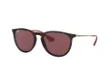 Ray-Ban Erika RB 4171 6391/75 54 Women sunglasses