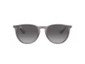 Ray-Ban Erika RB 4171 6513/8G 54 Women sunglasses