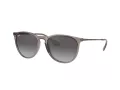 Ray-Ban Erika RB 4171 6513/8G 54 Women sunglasses
