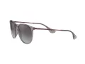Ray-Ban Erika RB 4171 6513/8G 54 Women sunglasses