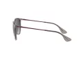 Ray-Ban Erika RB 4171 6513/8G 54 Women sunglasses