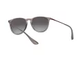 Ray-Ban Erika RB 4171 6513/8G 54 Women sunglasses