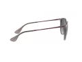 Ray-Ban Erika RB 4171 6513/8G 54 Women sunglasses
