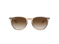 Ray-Ban Erika RB 4171 6514/13 54 Women sunglasses