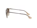 Ray-Ban Erika RB 4171 6514/13 54 Women sunglasses