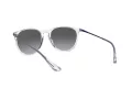 Ray-Ban Erika RB 4171 651611 54 Women sunglasses