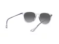 Ray-Ban Erika RB 4171 651611 54 Women sunglasses