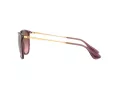 Ray-Ban Erika RB 4171 6591/14 54 Women sunglasses