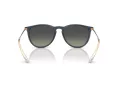 Ray-Ban Erika RB 4171 681311 54 Women sunglasses