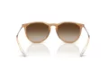 Ray-Ban Erika RB 4171 681413 54 Women sunglasses