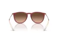 Ray-Ban Erika RB 4171 6815A5 54 Women sunglasses