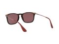 Ray-Ban Chris RB 4187 6391/75 54 Men sunglasses