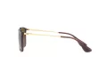 Ray-Ban Chris RB 4187 6593T5 54 Men sunglasses
