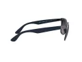 Ray-Ban Wayfarer Liteforce RB 4195 6331/8G 52 Men sunglasses