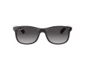 Ray-Ban Andy RB 4202 601/8G 55 Men sunglasses