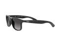 Ray-Ban Andy RB 4202 601/8G 55 Men sunglasses