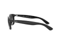 Ray-Ban Andy RB 4202 601/8G 55 Men sunglasses