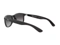 Ray-Ban Andy RB 4202 601/8G 55 Men sunglasses