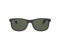 Ray-Ban Andy RB 4202 6069/71 55 Men sunglasses