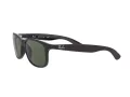 Ray-Ban Andy RB 4202 6069/71 55 Men sunglasses