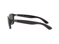 Ray-Ban Andy RB 4202 6069/71 55 Men sunglasses