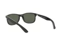 Ray-Ban Andy RB 4202 6069/71 55 Men sunglasses