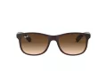 Ray-Ban Andy RB 4202 6073/13 55 Men sunglasses