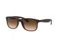 Ray-Ban Andy RB 4202 6073/13 55 Men sunglasses