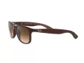 Ray-Ban Andy RB 4202 6073/13 55 Men sunglasses