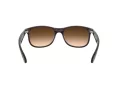 Ray-Ban Andy RB 4202 6073/13 55 Men sunglasses