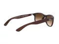 Ray-Ban Andy RB 4202 6073/13 55 Men sunglasses