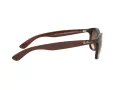 Ray-Ban Andy RB 4202 6073/13 55 Men sunglasses
