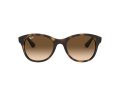 Ray-Ban RB 4203 710/13 51 Women sunglasses