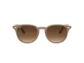 Ray-Ban 4259 616613 51 Men, Women sunglasses