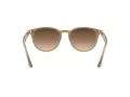 Ray-Ban 4259 616613 51 Men, Women sunglasses