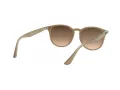 Ray-Ban 4259 616613 51 Men, Women sunglasses