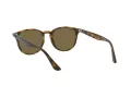 Ray-Ban RB 4259 710/73 51 Men, Women sunglasses