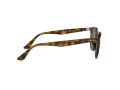 Ray-Ban RB 4259 710/73 51 Men, Women sunglasses