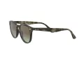 Ray-Ban RB 4259 731/E8 51 Men, Women sunglasses