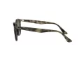 Ray-Ban RB 4259 731/E8 51 Men, Women sunglasses