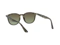 Ray-Ban RB 4259 731/E8 51 Men, Women sunglasses