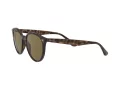 Ray-Ban RB 4305 710/73 53 Men, Women sunglasses