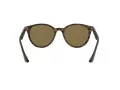 Ray-Ban RB 4305 710/73 53 Men, Women sunglasses
